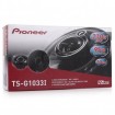 Pioneer TS-G1033i