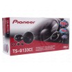 Pioneer TS-G133Ci