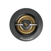 Pioneer TS-A301TW